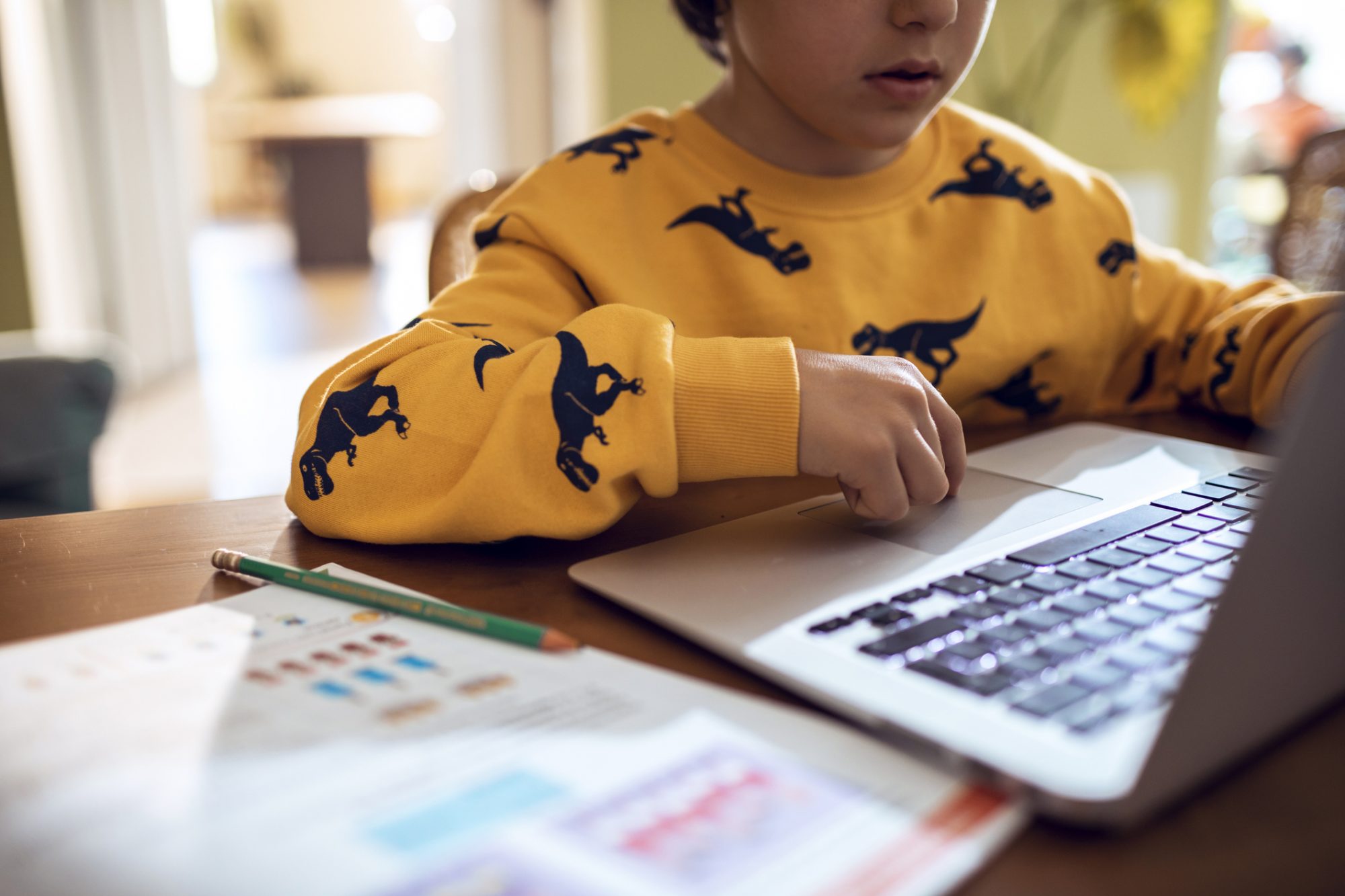 An image of a boy doing virtual learning.