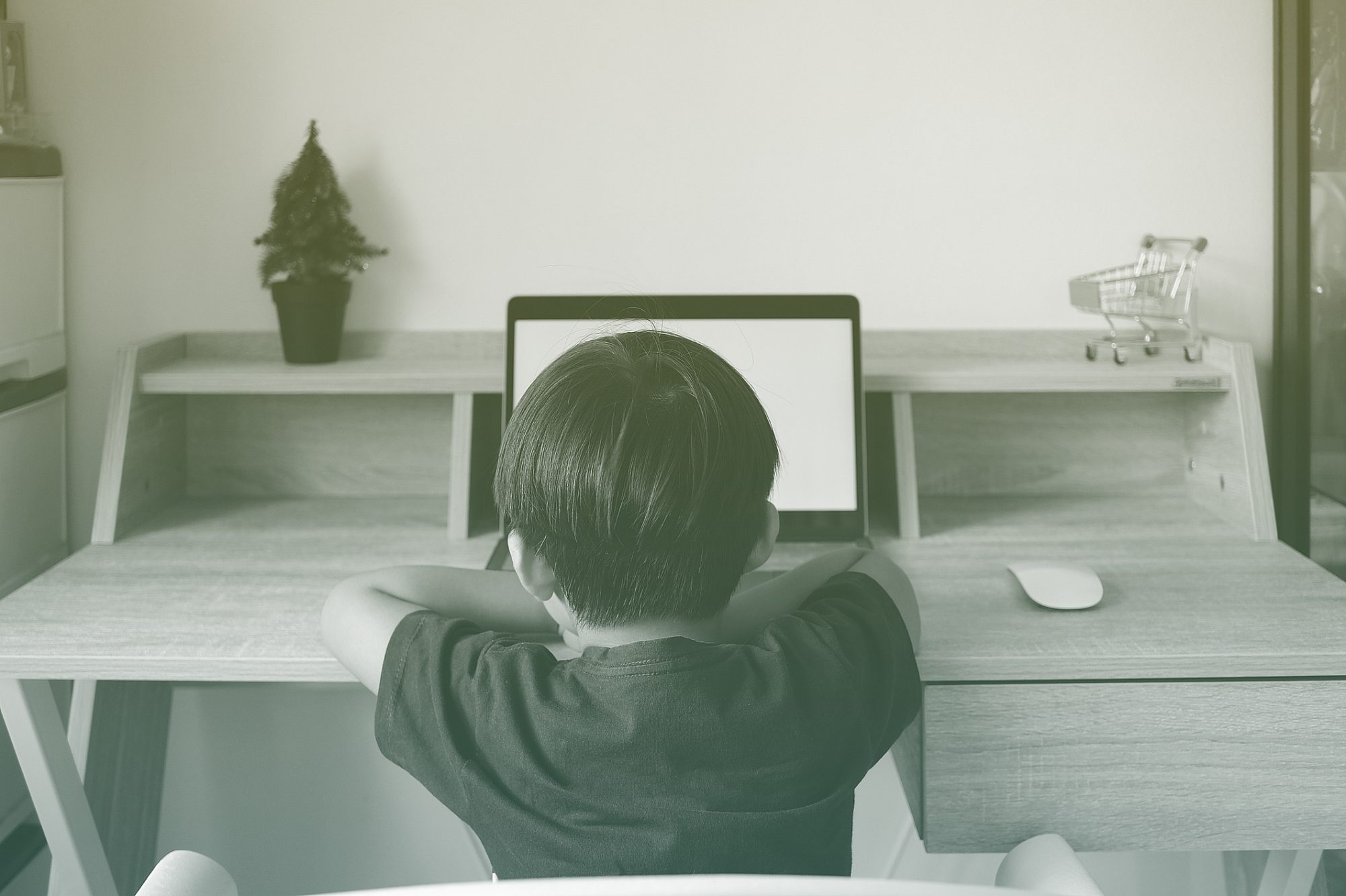 Rear View Of Boy on Laptop At Home