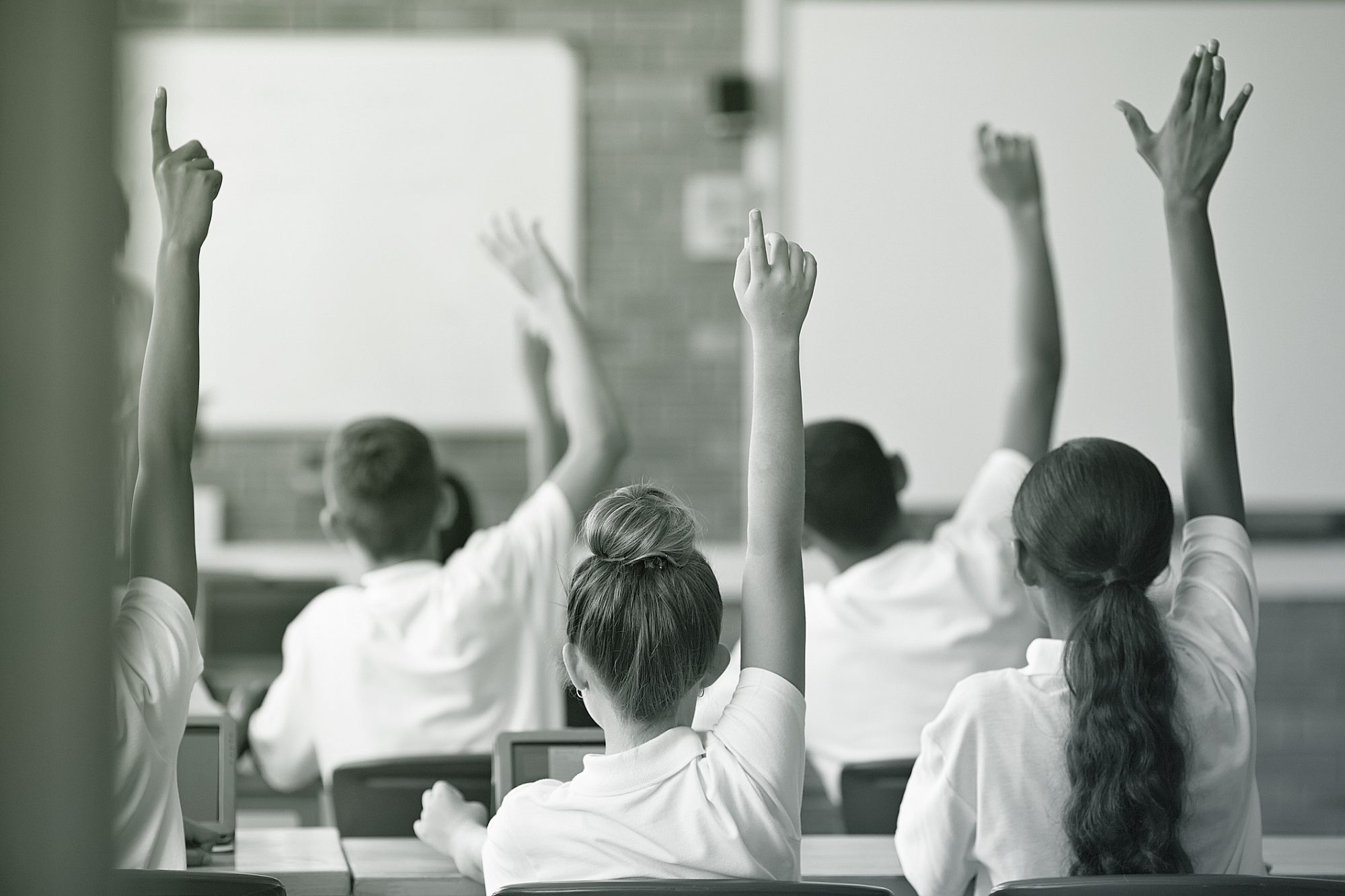 School classroom of students with raised hands, back view